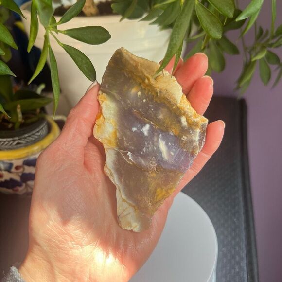 Blue Petrified Wood Freeform Slab (4) - Picture 2 of 10